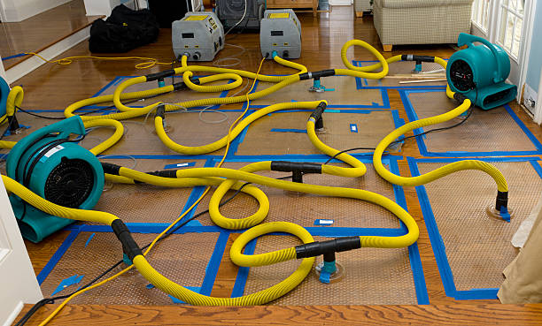 Professional Crawl Space Water Removal technician working in Vina, AL